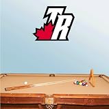 Toronto Raptors Basketball Wall Decal 16" x 25"