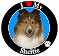 E & S Pets Car Magnet, Sheltie by E&S Imports, Inc