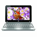 HP Mini 210-2080NR 10.1-Inch Netbook (Blue)