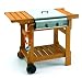 Outdoor Living : Landmann Flat Bed Gas Barbecue 2 Burner Model 804572