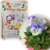 �p���W�[�F���{���}�[���V���[�Y���u���[�}�[��3.5���|�b�g4���Z�b�g[�C�^���A�E�t�@�[������][MPS]