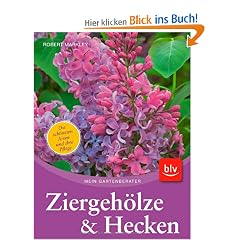 Hecken und Ziergeh�lze: Die sch�nsten Arten und Sorten �  Pflanzen, Schneiden, Pflegen