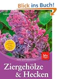 Hecken und Ziergeh�lze: Die sch�nsten Arten und Sorten �  Pflanzen, Schneiden, Pflegen