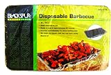 Review   / Disposable Barbecue 48 x 30 cm