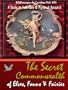 The Secret Commonwealth of Elves, Fauns & Fairies (A Study in Folk-Lore & Psychical Research) - Illustrated the fairies pictures