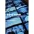 Digital Destiny: New Media and the Future of Democracy