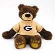Georgia - Apollo Mascot Bear