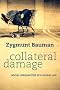 Collateral Damage: Social Inequalities in a Global Age