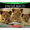 Planet Earth: Lion Cubs