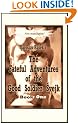 Fateful Adventures of the Good Soldier Svejk During the World War, Book One