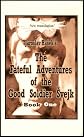 The Fateful Adventures of the Good Soldier Svejk During the World War, Book One