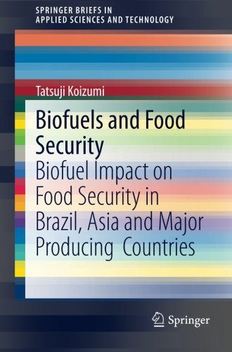 Biofuels and Food Security: Biofuel Impact on Food Security in Brazil, Asia and Major Producing  Countries (SpringerBriefs in Applied Sciences and Technology)