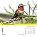 Turner Bird Watching 2016 Photo Daily Boxed (8970000)