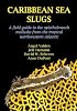 Caribbean Sea Slugs