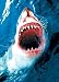 Haie Sharks - Der Weisse Hai - Film Movie Kino Poster