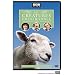 All Creatures Great & Small - The Complete Series 6 Collection