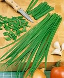 Garlic Chive Seeds - Allium Tuberosum - .25 Gram - Approx 55 Gardening Seeds - Herb Garden Seed