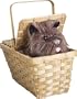Wizard of Oz Dorothy's Toto in a Basket