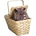 Wizard of Oz Dorothy's Toto in a Basket