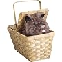 Rubies Costume Wizard of Oz Dorothy's Toto in a Basket