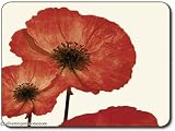 Jason Dreams of Summer Placemats - Set of 4 (Large)