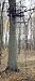 Family Tradition 12' Double Deluxe Ladderstand