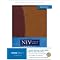 Bibles - NIV