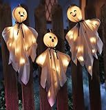 Halloween Lighted