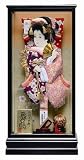 はご板 ケース飾り 縮緬花振袖 15号 （高さ56～60cmまで） ケース舞鶴