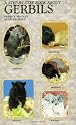 Step-by-step Book About Gerbils
