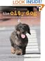 The City Dog: The Essential Guide for City Dwellers and Their Dogs