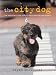 The City Dog: The Essential Guide for City Dwellers and Their Dogs cover image