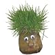 Mr Grasshead