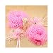 �ǥ��Ť�Ķ������ɱ�ŷ��ӥɥ쥹���åץ٥ӡ��ɡ���ޤ뤴�ȥ��å�(�ԥ󥯥��å�)BD-DSET-P  