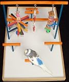 Parakeet / Lovebird Playgym (Freshman)