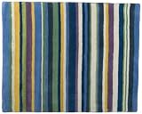 Freckles Reef Blue Stripe Rug