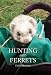 Hunting with Ferrets