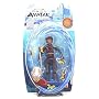 Avatar the Last Airbender Basic Water Series Action Figure Jet