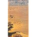 Ambiance du Sahara : Desert Blues