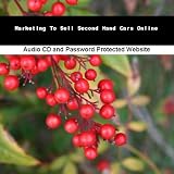 Marketing To Sell Second Hand Cars Online