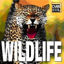 WildLife: Minicube