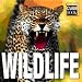 WildLife: Minicube