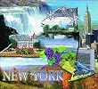 New York Coverlet
