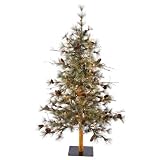 Vickerman 22434 - 5' Dakota Alpine 100 Clear Lights Christmas Tree (B115451)
