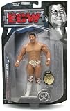 W ECW Series 3 Action Figure: Matt StrikerIMAGE