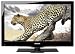 Medion Life P14075 59,9 cm (23,6 Zoll) LED-Backlight-Fernseher, Energieeffizienzklasse B (Full-HD, Triple Tuner DVB-T/C/S2) schwarz