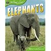 Animal Lives: Elephants