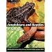Amphibians and Reptiles of Georgia