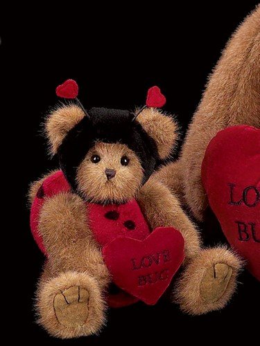 Love Bug