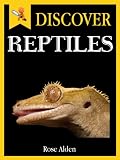 Discover Reptiles - Fun Facts For Kids